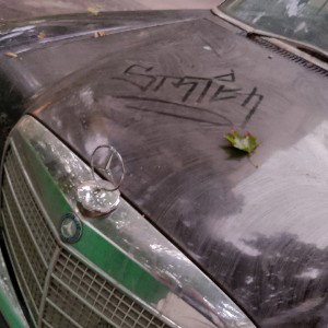 дисконект 