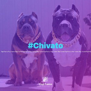 #Chivato