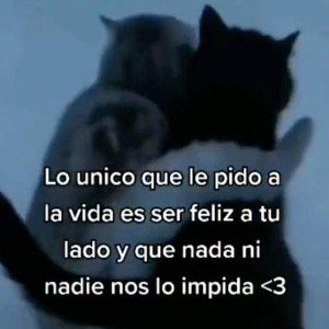mi ángel caído del cielo :)