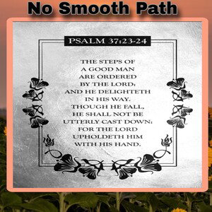 NoSmoothPath