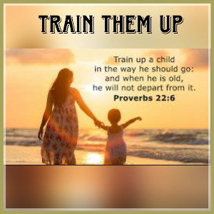 Train Them Up!