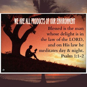 We are all products of our environment