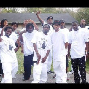 Survive  by Boe Family