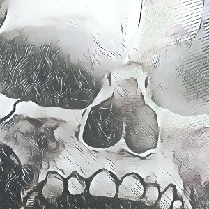 TmJustALittleBitch