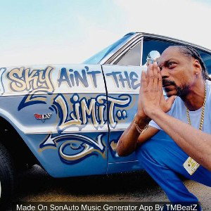 Why Why Sky Ain't The Limit ( Made On SonAuto Music Generator App By TMBeatZ)