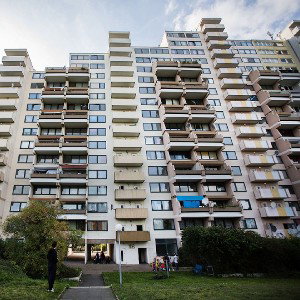 In Der Hood 