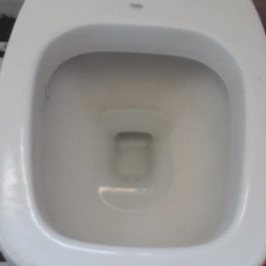Quem Tem cu tem medo