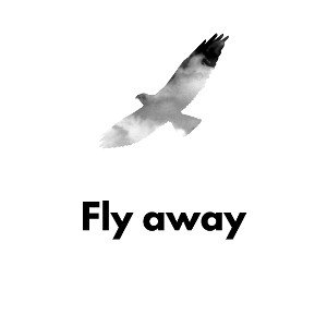 fly away 