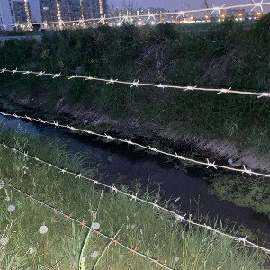 хожу под луною