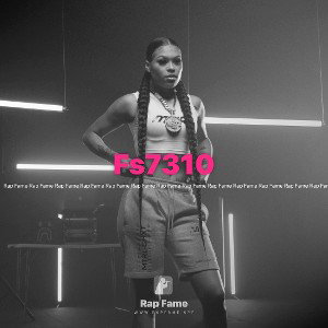 Fs7310