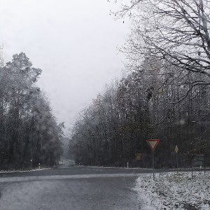 Winter 