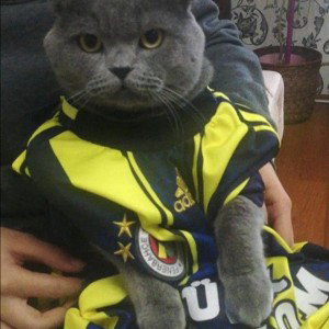 Cısmoş ismoş