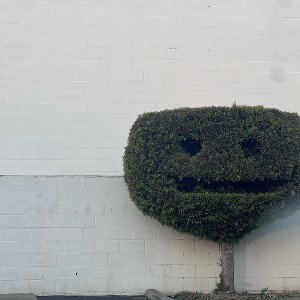 RUDE BOO