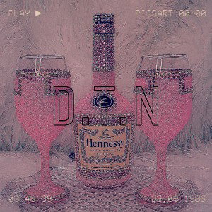 D.T.N ( don’t trust niggas ) 