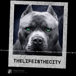 The life in the city