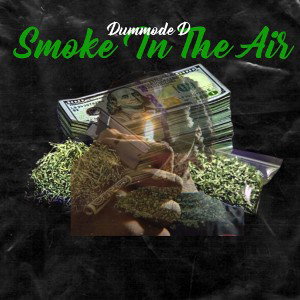 Dummode D-Smoke In The Air