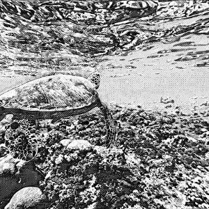 Vidéo sans titre - Made with Clipchamp _2_ cut.net_