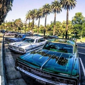 DAT REALITY(Progrezz in Session)👑🦊🌲💨👌💯🔥😎