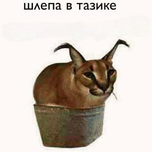 Given Up
