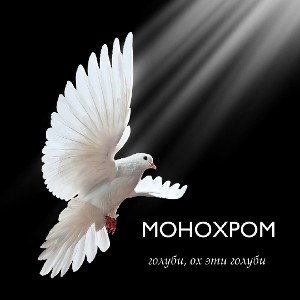 MONOCHROME ~ голуби, ох эти голуби.