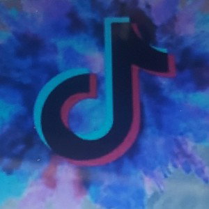Famosita de tik tok