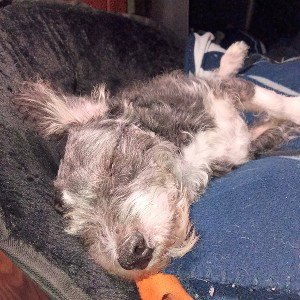 Sleepy