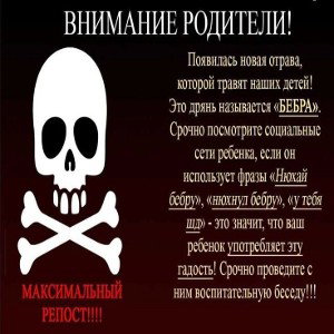 коты на вертолете
