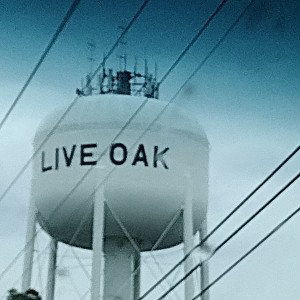 Funniest Oak