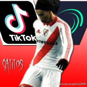 tarimaS