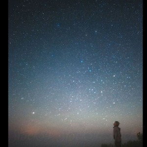 up in the sky like the stars 
