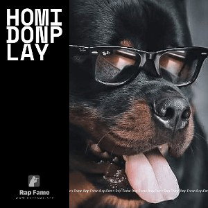 Homidonplay