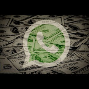 Davilos - WhatsApp