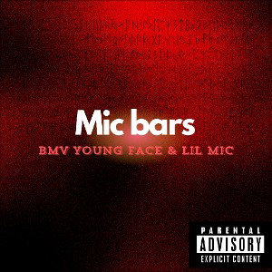 Mic bars 
