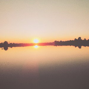 love fades livi_n_s