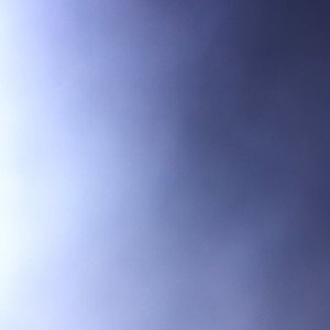 Dog Nose Summer Cover