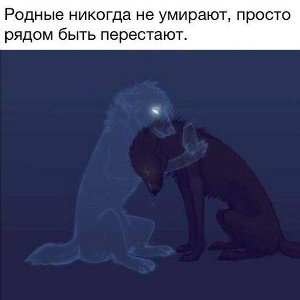 Этот трек я посвящаю своему папе , который умер по халатности врачей 