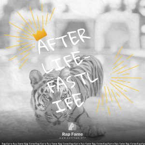 Afterlife-Fastlife