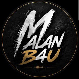 entre les ombres et les vérités-Malan B4U 
