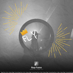 Fly