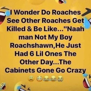 Naw Fr 2X