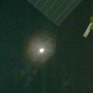 noche fresca