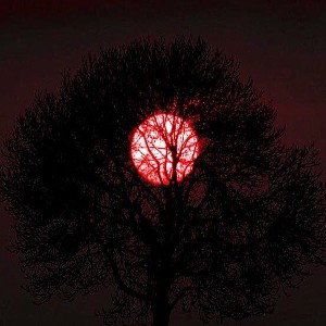 Багряный свет