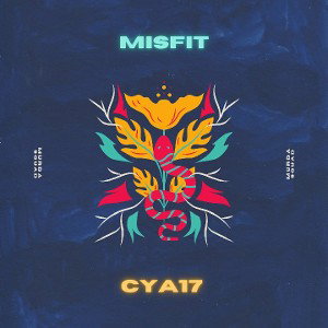 MISFIT