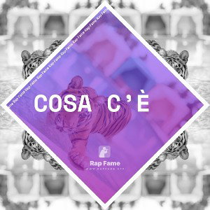 cosa c’è 