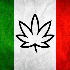 #LIBERALIZZARE#