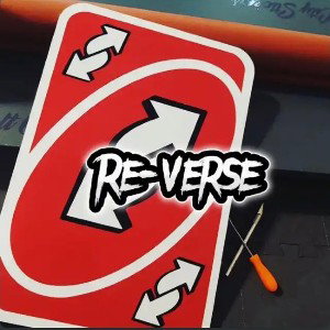 Re-Verse