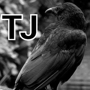 کلاغ🖤