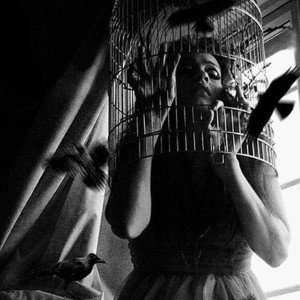 La cage 