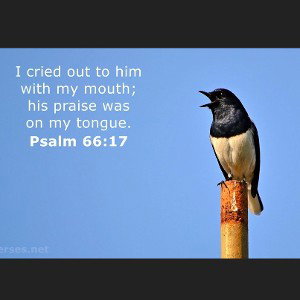 Psalms 66