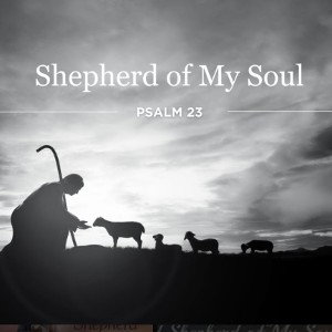 Shepherd of my soul